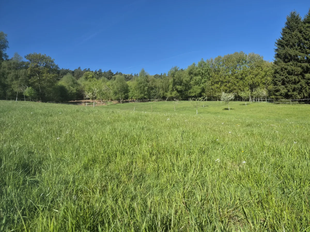 Grundstück in Witten-Ardey