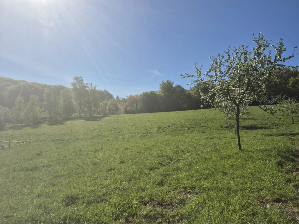 Grundstück in Witten-Ardey